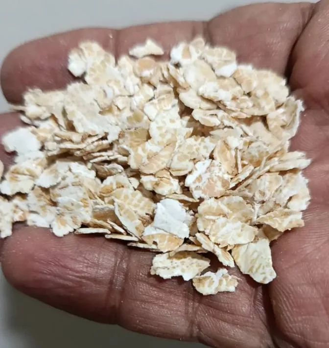Buy daliya oats rolled jau Online at Best Price in Pakistan روسٹڈ اوٹس اور جو کا دلیہ — صحت اور ذائقہ دونوں کا بہترین ام