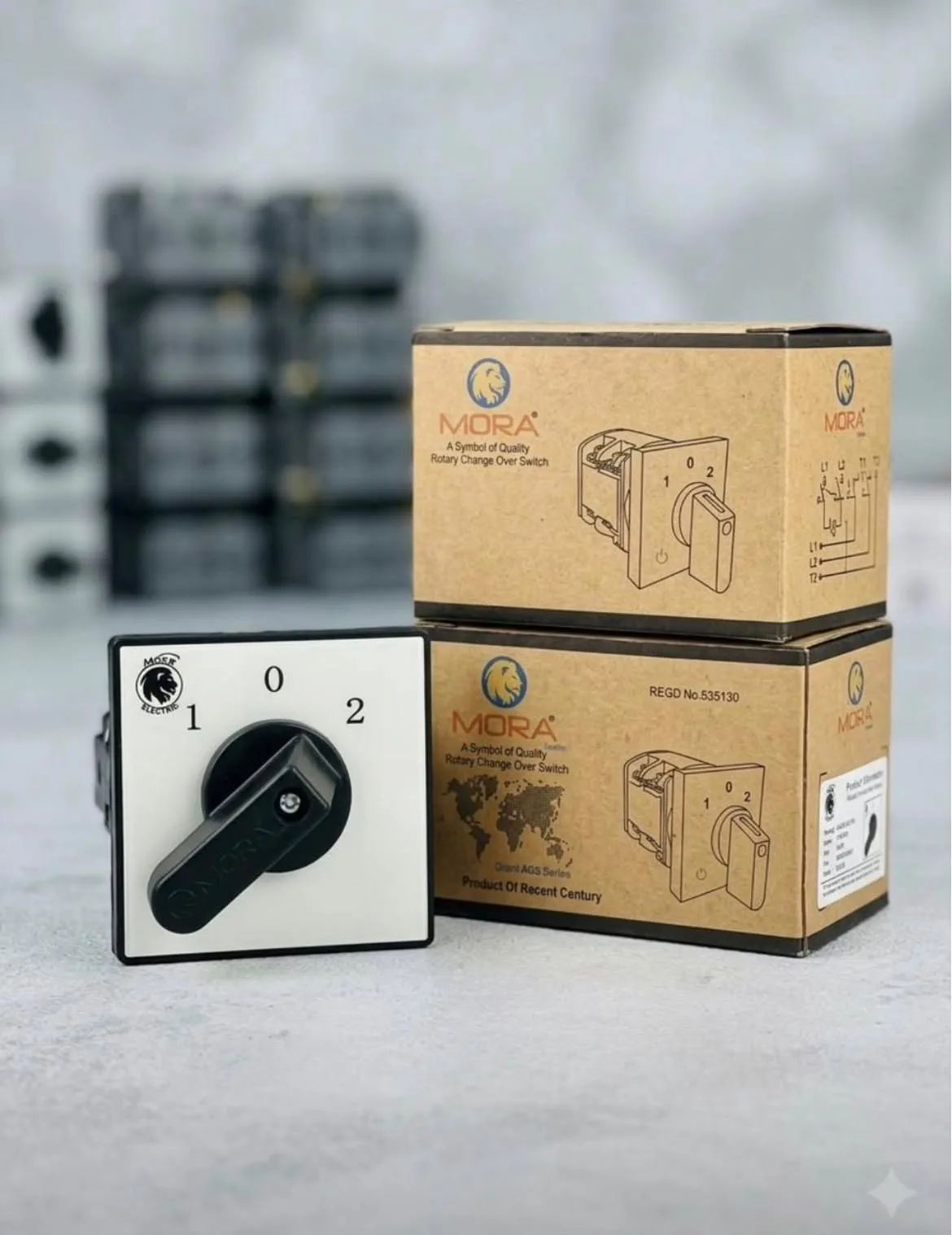 β‘ MORA 50A 2-Pole Rotary Changeover Switch