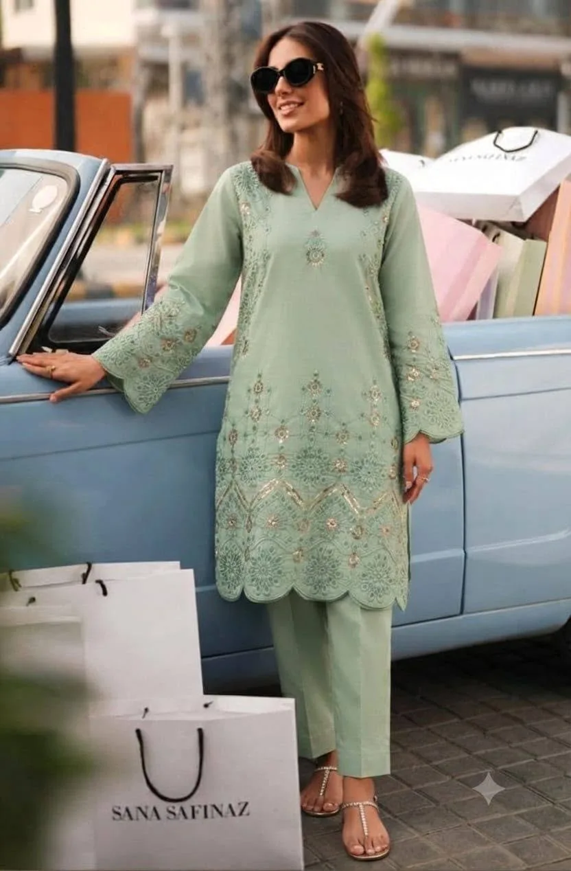 🌸 Embroidered Chicken Kari 2 Piece Cotton Suit | Soft Cotton Collection | Wholesale Price