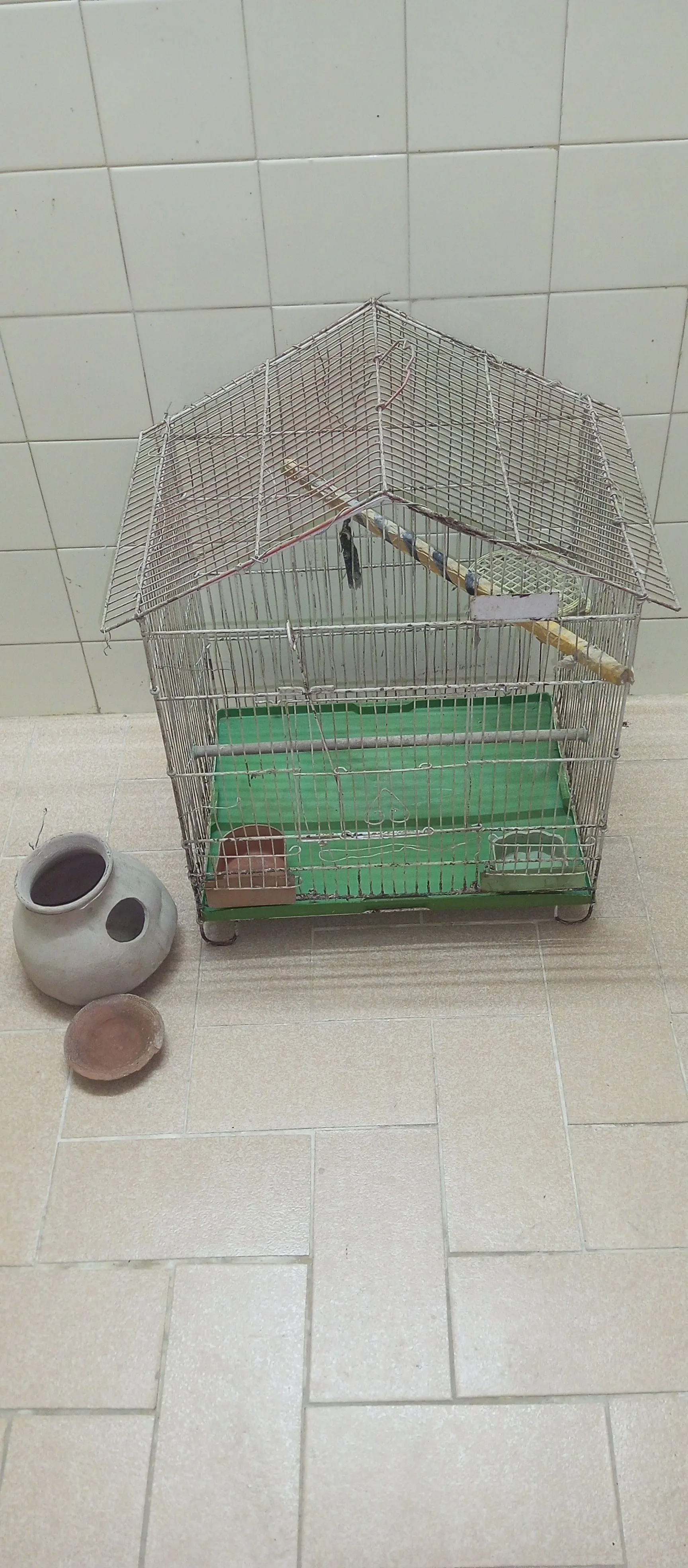 Good Condition Birds Cauge For Sale
