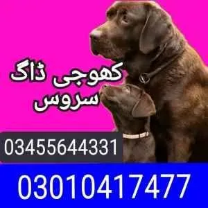 Army dog center 03455644331