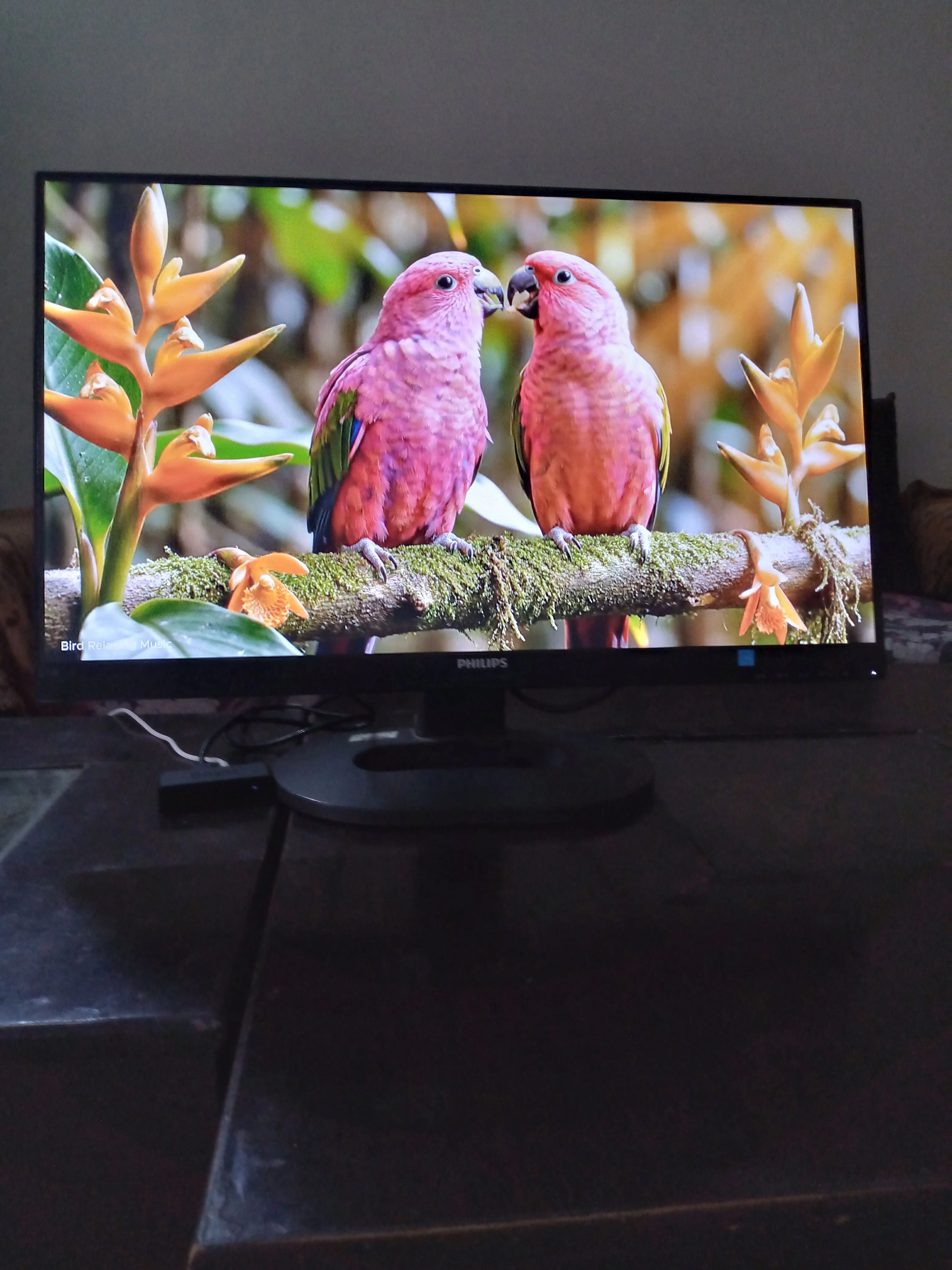 Furniture & Home Decor monitor